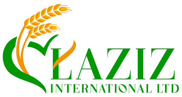 Laziz International